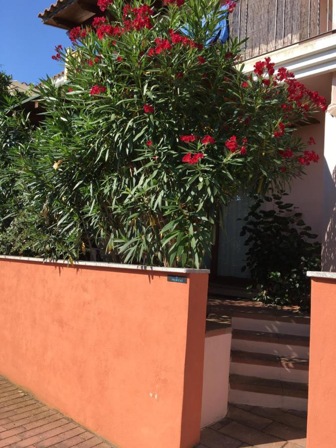 Borgo Saraceno Mirto 5 Appartement San Pasquale Buitenkant foto